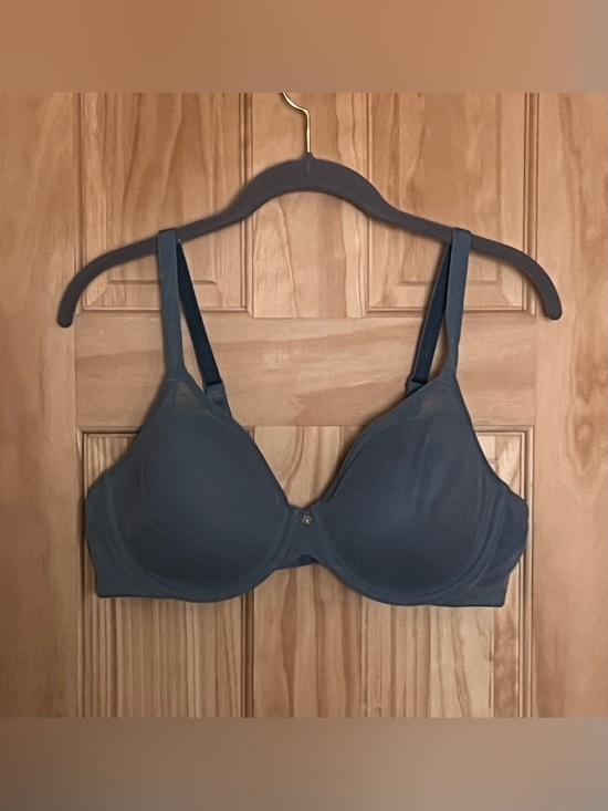 Breezies Other - Breezies Seamless Underwire T-Shirt Bra — Slate Blue